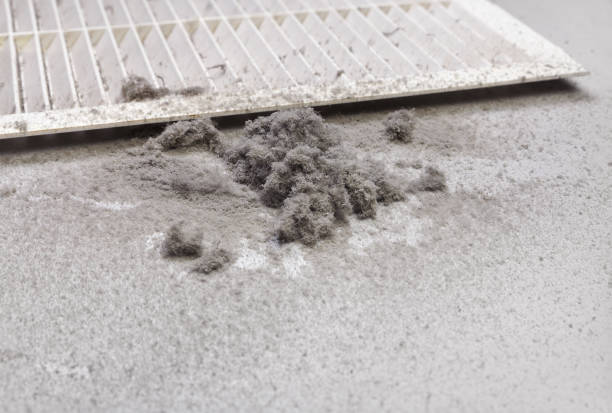 Best Air Duct Cleaning Near Me  in Ferguson, MO